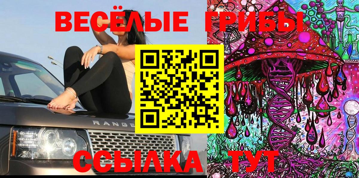 дарнет шоп  Галлюциногенные грибы GOLDEN TEACHER  Усть-Джегута  Вход с VPN  Псилоцибиновые грибы Magic Shrooms 