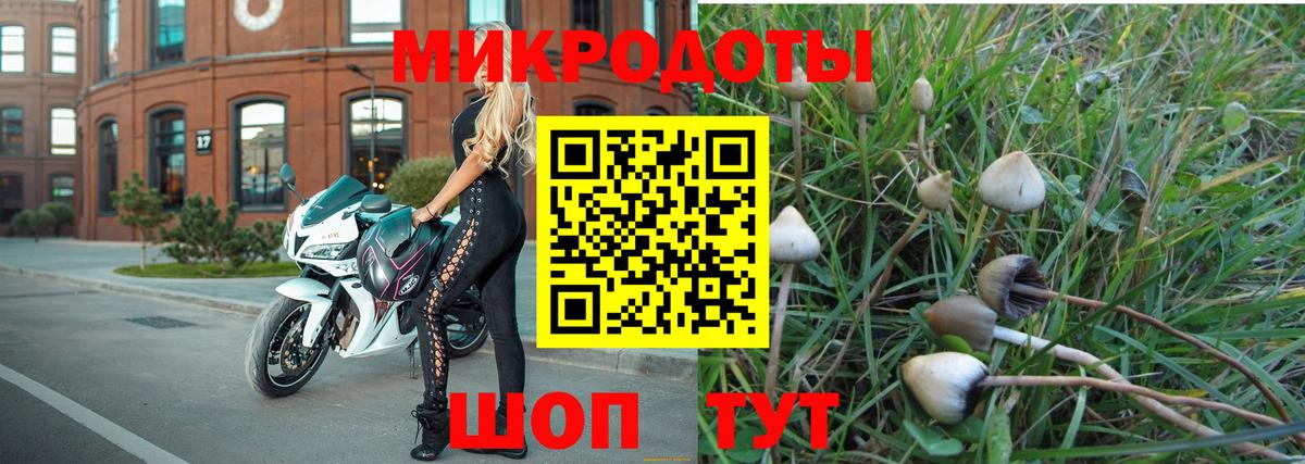 Псилоцибиновые грибы Magic Shrooms Усть-Джегута