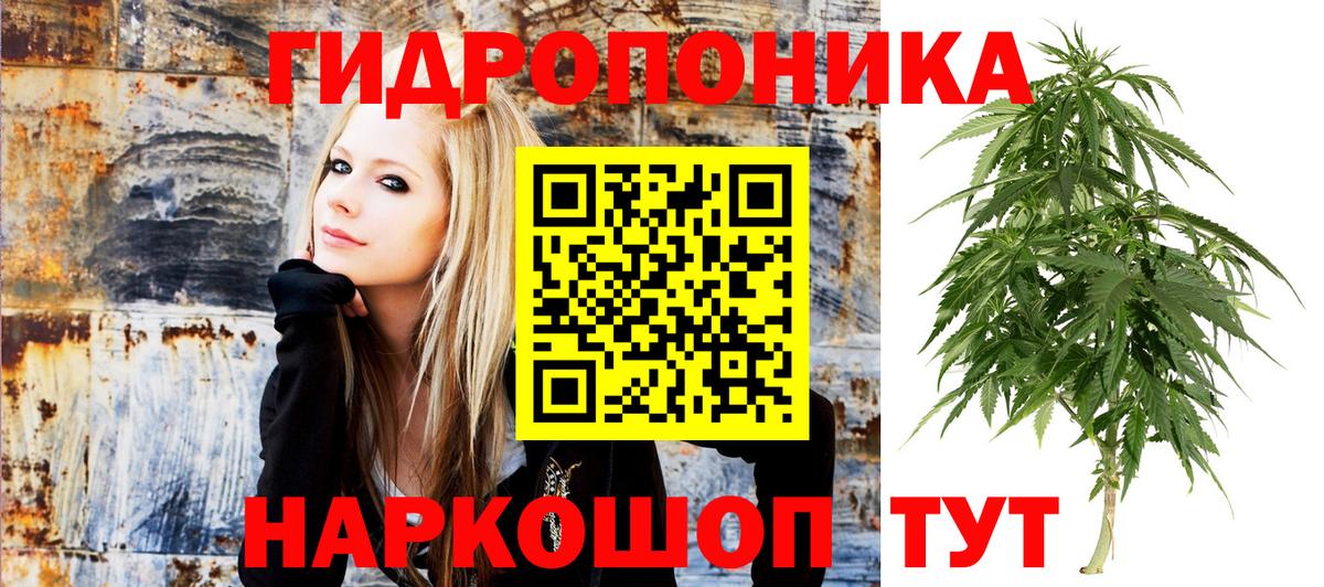 Каннабис индика  МАРИХУАНА MAZAR  Вход с VPN  Усть-Джегута 